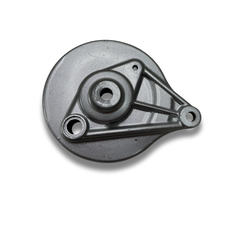 Tapa de Porta Patín de Freno Trasero - PL